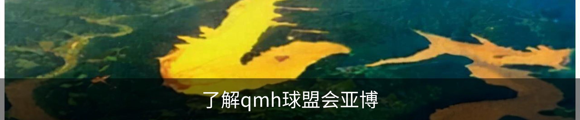了解qmh球盟会亚博